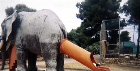 elephant